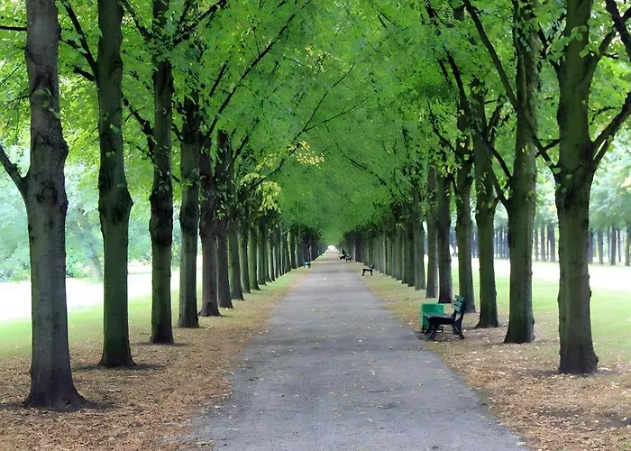 Schlachter's Hius * Algermissen